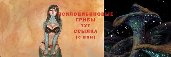 бошки Баксан