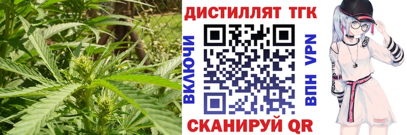 Дистиллят ТГК Wax Купино