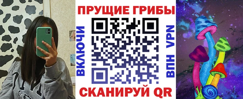 Галлюциногенные грибы MAGIC MUSHROOMS  как найти закладки  Купино 